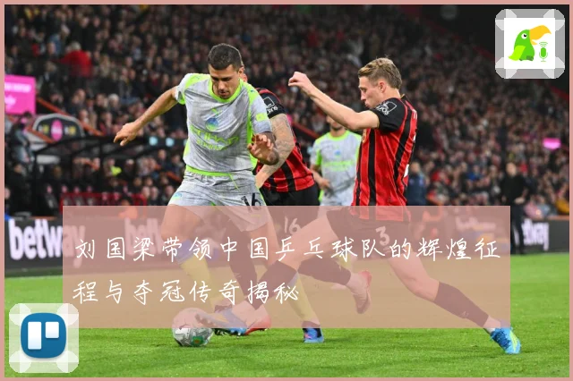 刘国梁带领中国乒乓球队的辉煌征程与夺冠传奇揭秘